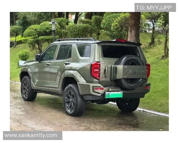 探索4vs赛车鞋子的独特魅力与性能优势，助你在赛道上尽情驰骋